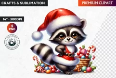 Christmas raccoon clipart , winter clipart, christmas png Product Image 1