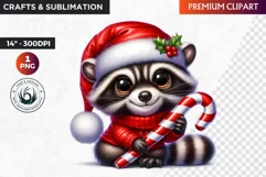 Christmas raccoon clipart , winter clipart, christmas png Product Image 1