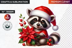 Christmas raccoon clipart , winter clipart, christmas png Product Image 1
