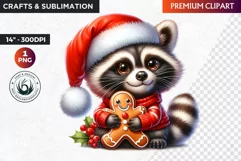 Christmas raccoon clipart , winter clipart, christmas png Product Image 1