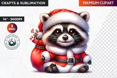 Christmas raccoon clipart , winter clipart, christmas png Product Image 1