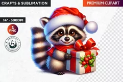 Christmas raccoon clipart , winter clipart, christmas png Product Image 1