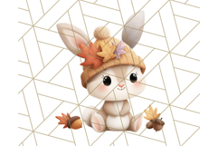Woodland Autumn Critters PNG Clipart, Cute Fall Animals Product Image 5