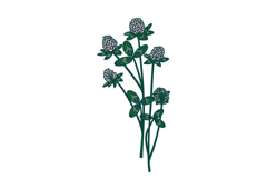 Botanical clover bouquet isolated on white background Product Image 1