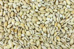 pearl barley on white background Product Image 1