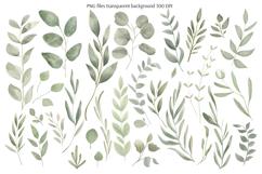Everbloom Floral Clipart and Patterns Product Image 7
