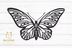 Butterfly SVG, butterfly PNG, butterfly silhouette Product Image 2