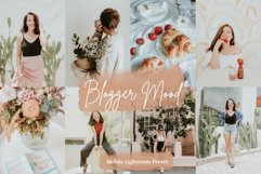 Blogger Collection Lightroom Mobile &amp; Desktop Preset Product Image 4