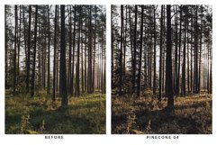 20 Moody Forest Lightroom Presets and LUTs Product Image 9