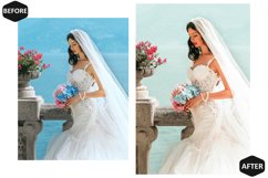 10 Tan Bride Photoshop Actions And ACR Presets Product Image 10