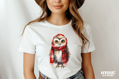 Christmas Owl Sublimation PNG Winter Cute Owls Product Image 2