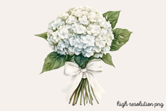 Hydrangea Watercolor Cliparts Bundle PNG Product Image 22