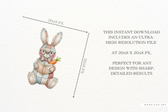 Easter Bunny Reading Clipart Product Image 6