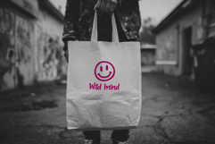 Graffiti Tagline Brave Decorative Font Product Image 4