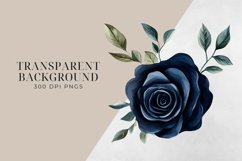 Dark Blue &amp; Blush Pink Flowers Clipart PNG. Product Image 2
