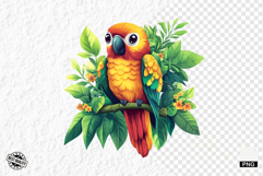 Tropical Birds Clipart - Summer Birds PNG Product Image 1