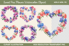 Sweet Pea Flower Watercolor Clipart Bundle PNG Product Image 6