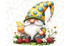 Summer Garden Gnomes Clipart PNG, Summer Country Gnomes Png Product Image 2