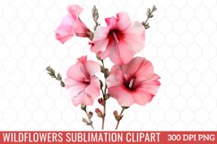 Wildflowers Sublimation Clipart Product Image 1
