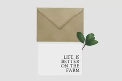 Spring Market - Rustic Serif Font - Free Font of The Week Product Image 4