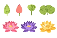 Watercolor Lotus Flower Clipart Product Image 1