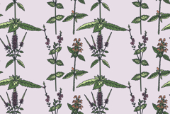 Botanical floral seamless pattern with wildflowers vector Product Image 1
