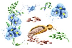FLAX bundle. Hand painted watercolor Product Image 2