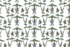 Botanical floral seamless pattern with wildflowers vector Product Image 1