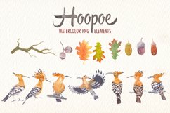 watercolor hoopoe bird clipart Product Image 2