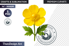 Flower Clipart PNG, Botanical Illustration Floral graphic Product Image 1