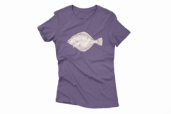 Cute Flounder Flatfish Ocean Animal PNG Summer Aquatic Product Image 4