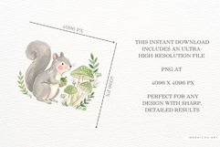 Summer Squirrel Garden Clipart Product Image 7