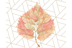 Fall Foliage Clipart PNG, Pink and Green Leaves Product Image 3