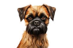 Brussels Griffon Dog Clipart | Watercolor Dog Clipart PNG Product Image 1