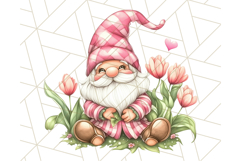 Summer Garden Gnomes Clipart PNG, Summer Country Gnomes Png Product Image 3