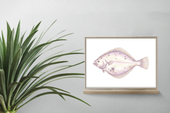 Cute Flounder Flatfish Ocean Animal PNG Summer Aquatic Product Image 2