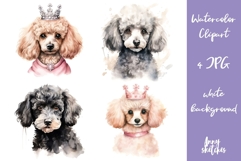 Watercolor Poodle Clipart Set Cute Dog Illustration Bundle Product Image 1