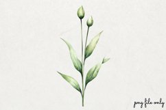 Wild flowers butterflies and dragonfly Clipart PNG Product Image 1