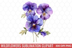Wildflowers Sublimation Clipart Product Image 1