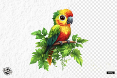 Tropical Birds Clipart - Summer Birds PNG Product Image 1