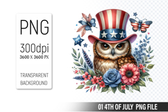 4th of July Owl Clipart, Animal illustration for crafts Product Image 1