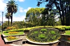 The most beautiful park in Auckland Product Image 1