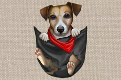 Jeck Russell png pocket jack russell 3 png Product Image 4