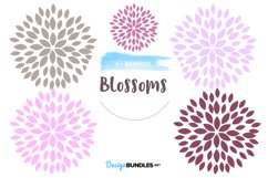 Blossoms design graphics and illustration Product Image 1