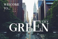 Web Font Newark Product Image 4