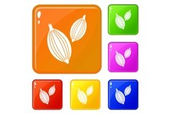 Cardamom pods icons set vector color Product Image 1