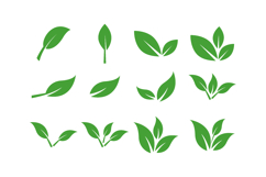 Green Leaves Vector Illustration Collection Product Image 1