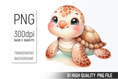 Summer Cute Turtle Clipart | Sublimation Clipart PNG File Product Image 1