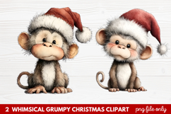 2 Whimsical Grumpy Christmas Clipart | Funny Grumpy Holiday Product Image 1
