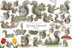 Watercolor Spring Squirrel Clipart Product Image 1